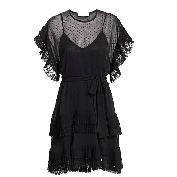 Zimmermann Dresses & Skirts - Zimmermann Eye Spy Dotted Mini Dress